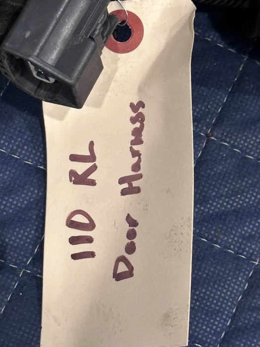 2020 FORD F450 PLATINUM REAR LEFT DRIVER SIDE DOOR HARNESS LC3T-14632-AAB