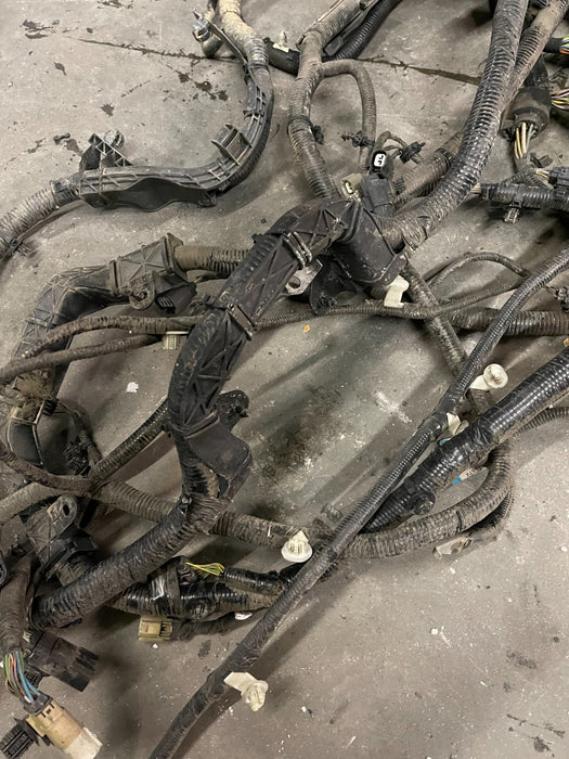 2019 FORD F250 F350 CHASSIS FRAME WIRING HARNESS ASSEMBLY OEM  HC3T 2B572