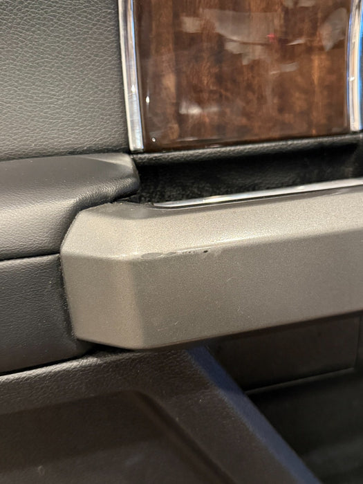 2017-2019 FORD F350 F250 F350 F450 PLATINUM REAR LEFT DOOR PANEL OEM *WEAR 7-8*