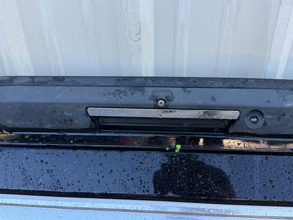 2019 FORD F250 F350 F450 PLATINUM TAIL GATE ASSEMBLY W/ STEP & CAMERA BLACK