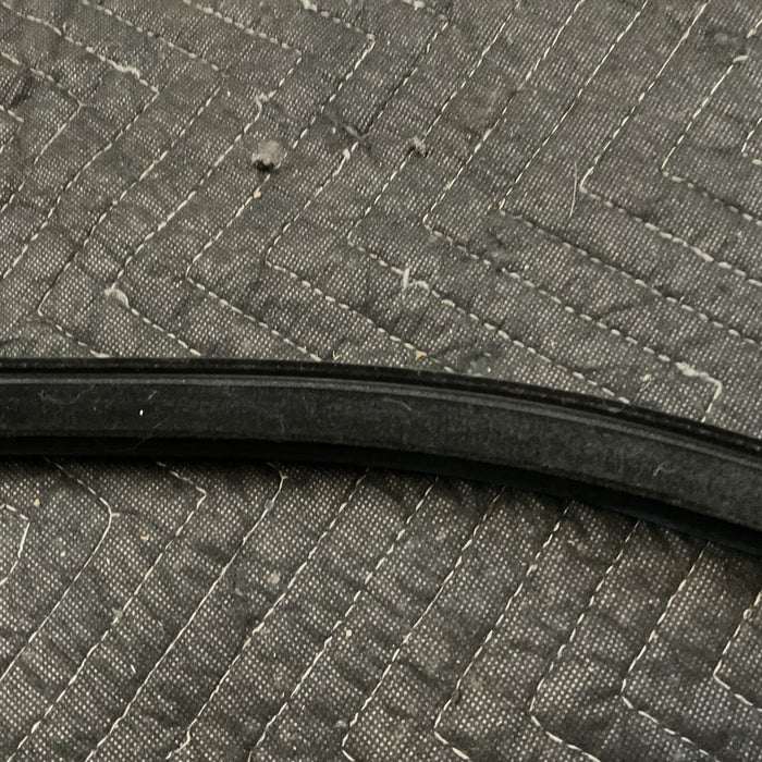 2017-2022 FORD F250 F350 F450 FRONT RIGHT OUTER DOOR BELT WEATHERSTRIP OEM