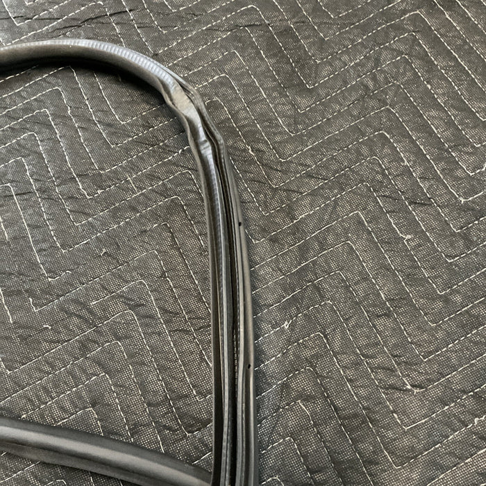 2014-2018 INFINITI Q50 OEM REAR LH DOOR SEAL