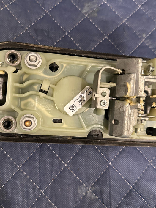 2019 FORD F150 3.5L RAPTOR FRONT RIGHT DOOR HANDLE (G1) OEM *SCRATCHES #5*