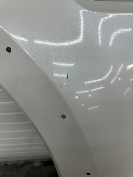 2017-2019 FORD F250 KING RANCH LEFT FENDER OEM *PAINT WEARS 3,4*
