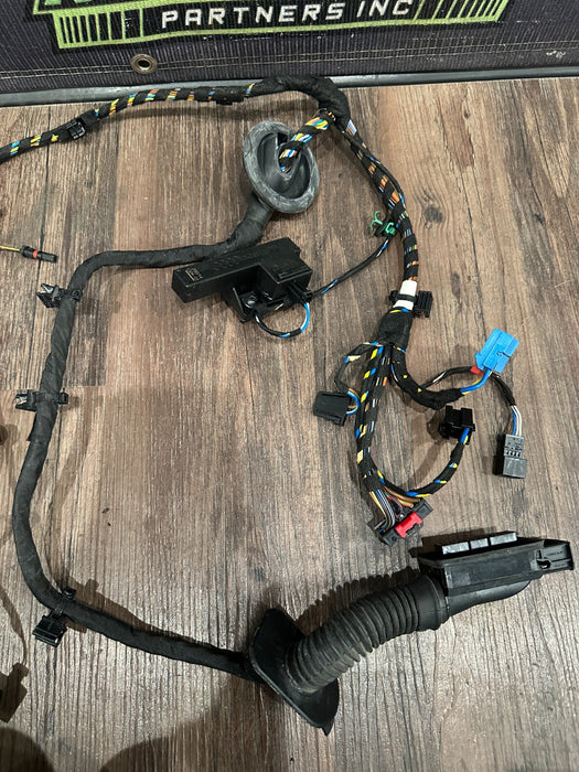 2021 AUDI R8 DRIVER LEFT DOOR WIRING HARNESS OEM 4S8 971 029 C