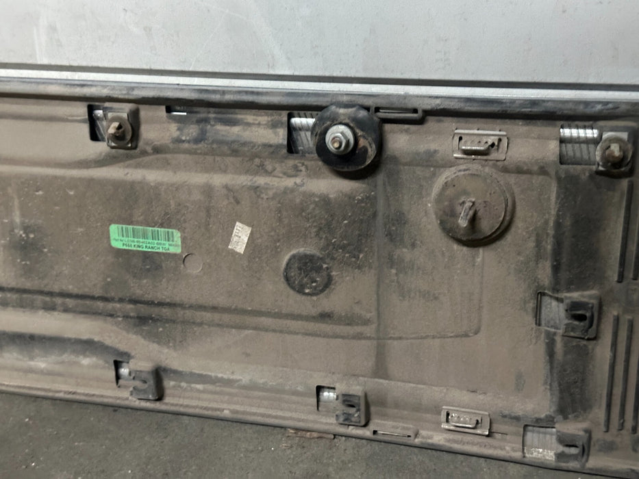 2017-2022 FORD F250 F350 F450 KING RANCH TAILGATE APPLIQUE PLAQUE TRIM PANEL OEM