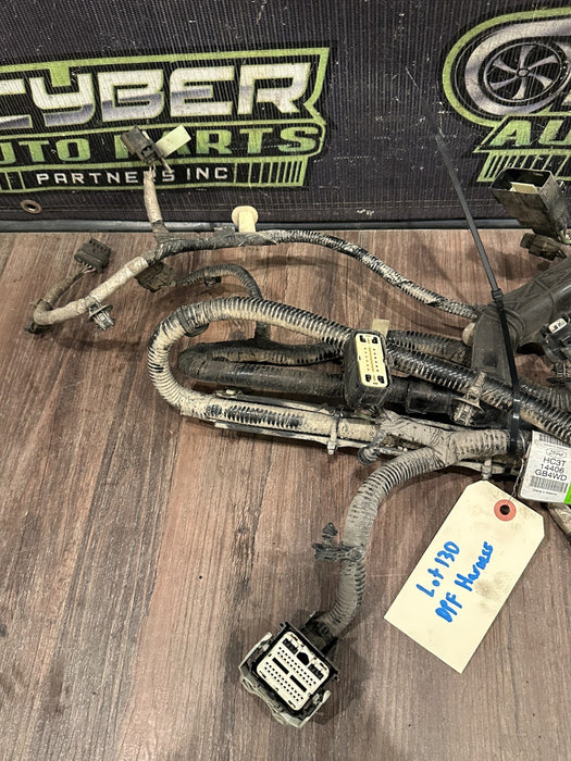2017-2019 FORD F250 F350 F450 DPF WIRING HARNESS OEM HC3T 14406 DF