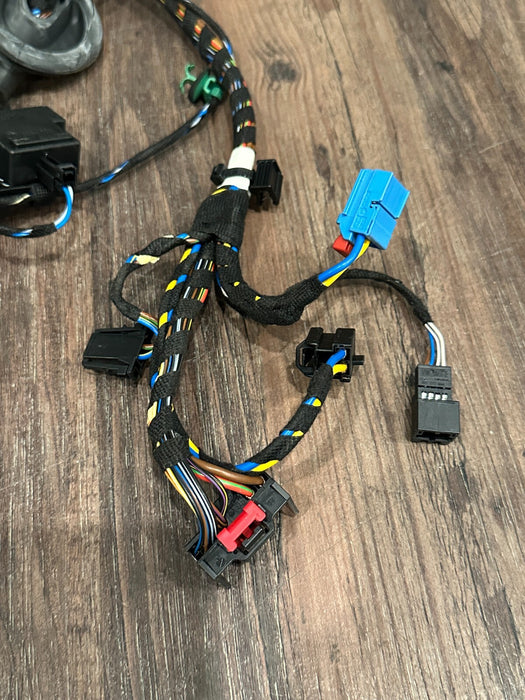 2021 AUDI R8 DRIVER LEFT DOOR WIRING HARNESS OEM 4S8 971 029 C