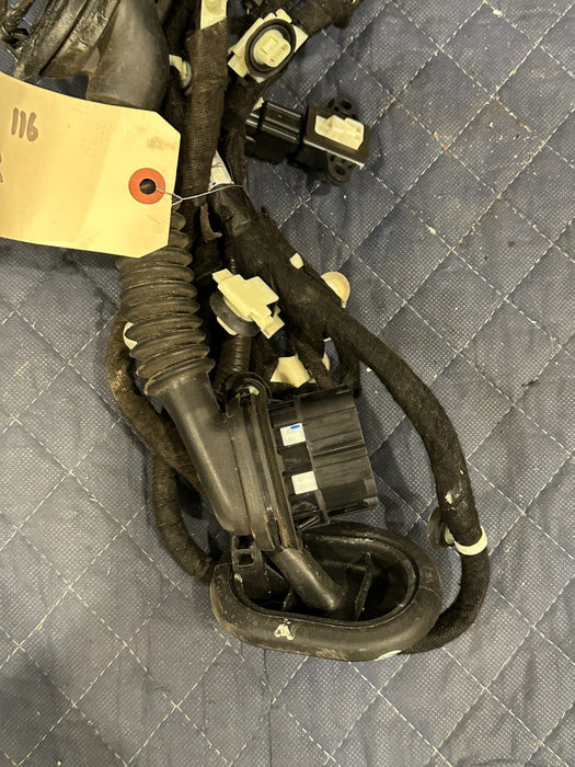 2017-2019 FORD F250 F350 FRONT RIGHT DOOR WIRING HARNESS OEM DG9T-14B533