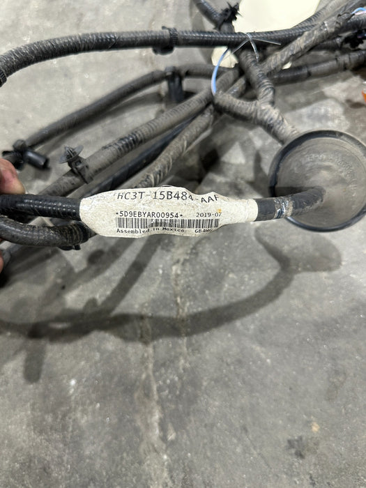 2017-2019 FORD F350 DUALLY BED RIGHT FLARE WIRING HARNESS OEM HC3T-15B484