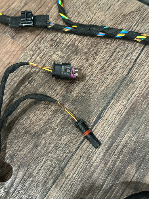 2021 AUDI R8 DRIVER LEFT DOOR WIRING HARNESS OEM 4S8 971 029 C