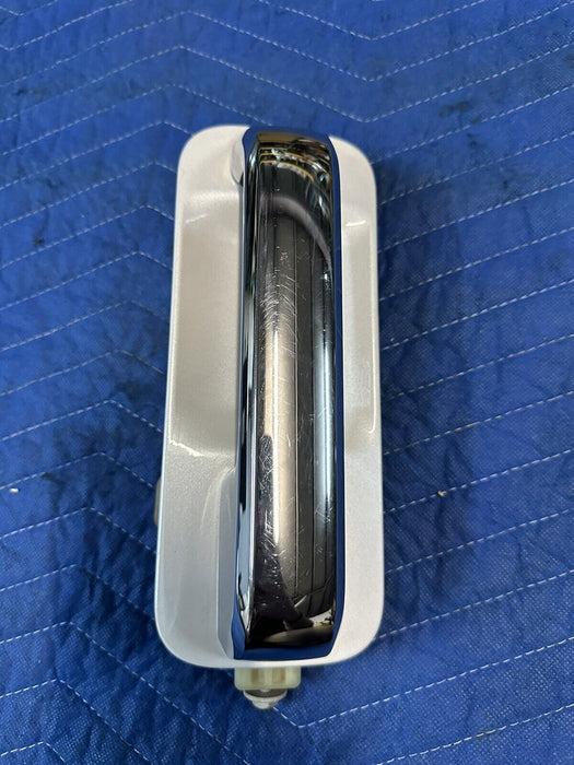 2019 FORD F250 F350 F450 PLATINUM REAR RIGHT DOOR HANDLE METALLIC WHITE (UG) OEM