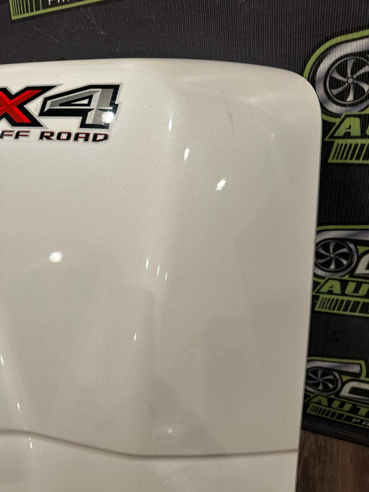 2017 2019 FORD F350 F450 LEFT DUALLY BED SIDE FENDER FLARE PEARL WHITE *UG* OEM