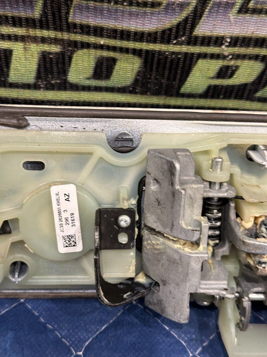 2017-2019 FORD F250 F350 F450 REAR LEFT STAR WHITE DOOR HANDLE OEM