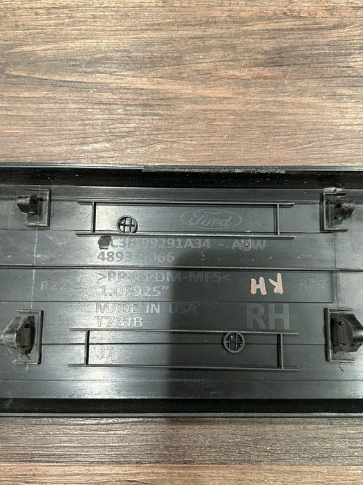 2017-2022 FORD F250 F350 F450 RIGHT BED RAIL MOLDING TRIM OEM LC3B 99291A34 AAW