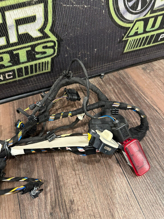 2018 AUDI R8 SPYDER PLUS PASSENGER RIGHT DOOR HARNESS 4S8 971 030 J 25 4S8971030