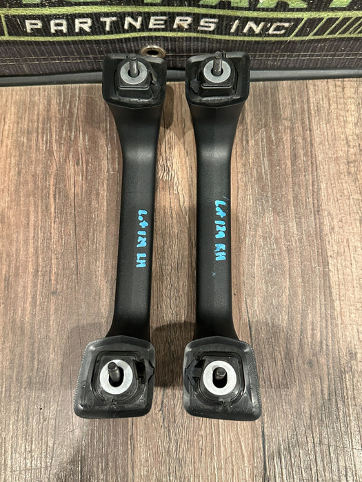 2017-2019 FORD F250 F350 F450 LEFT RIGHT GRAB HANDLE PAIR OEM