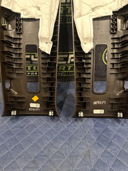 2017-2019 FORD F250 F350 KING RANCH BROWN LEFT RIGHT UPPER B PILLARS OEM