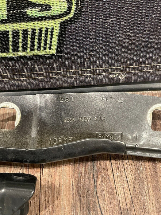 2017-2022 FORD F350 F450 SUPERDUTY DRIVER LEFT HOOD HINGE OEM HC3B 16801 A