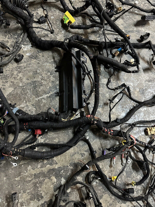 2012 2014 AUDI R8 5.2L V10 OEM MAIN BODY WIRE WIRING HARNESS COUPE 420971824