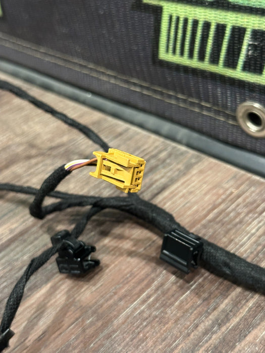 2021 AUDI R8 PASSENGER RIGHT DOOR WIRING HARNESS OEM 4S0 971 036 E