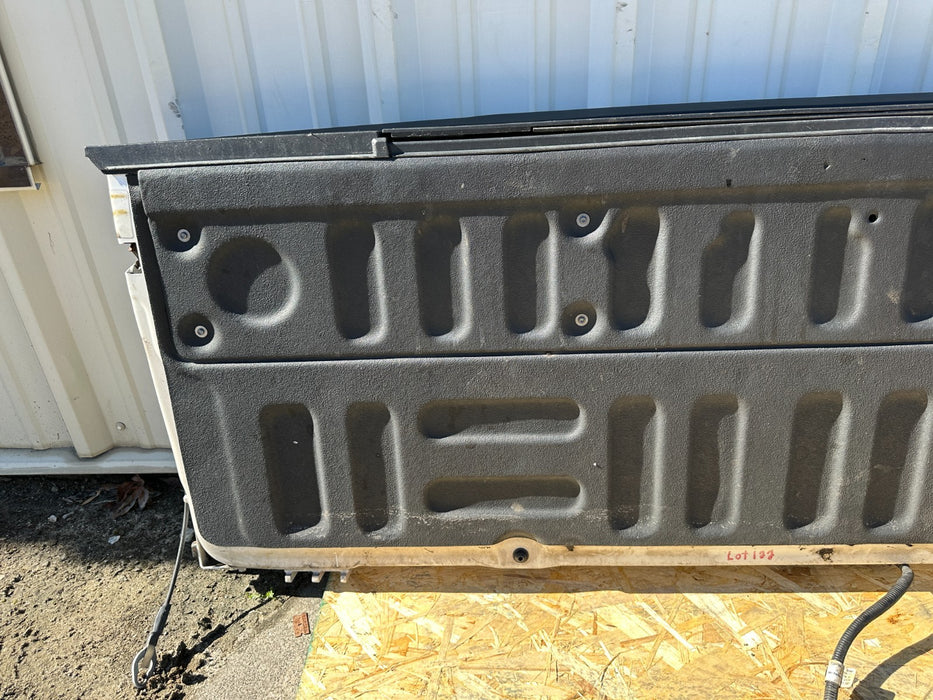 2017-2019 FORD F450 LIMITED TAILGATE TAIL GATE ASSEMBLY (UG) OEM *WEARS 5,6,7,9*