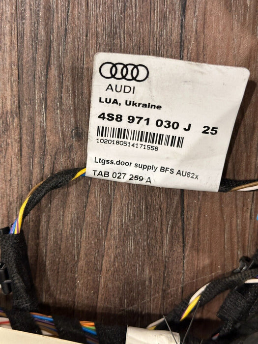 2018 AUDI R8 SPYDER PLUS PASSENGER RIGHT DOOR HARNESS 4S8 971 030 J 25 4S8971030