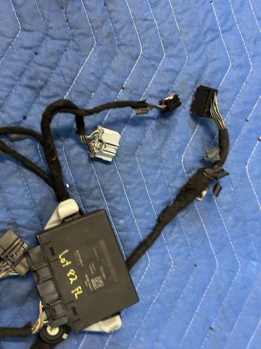 2019 FORD F250 F350 LARIAT FRONT DRIVER LEFT DOOR HARNESS W/ MODULE OEM