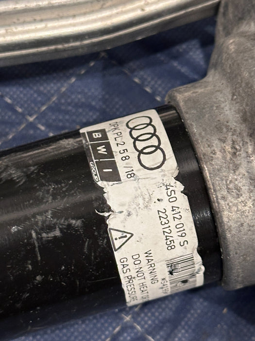 2017 2018 AUDI R8 PLUS FRONT REAR RIGHT LEFT SUSPENSION SHOCK ABSORBER STRUT