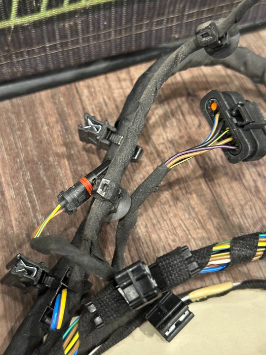 2018 AUDI R8 SPYDER PLUS PASSENGER RIGHT DOOR HARNESS 4S8 971 030 J 25 4S8971030