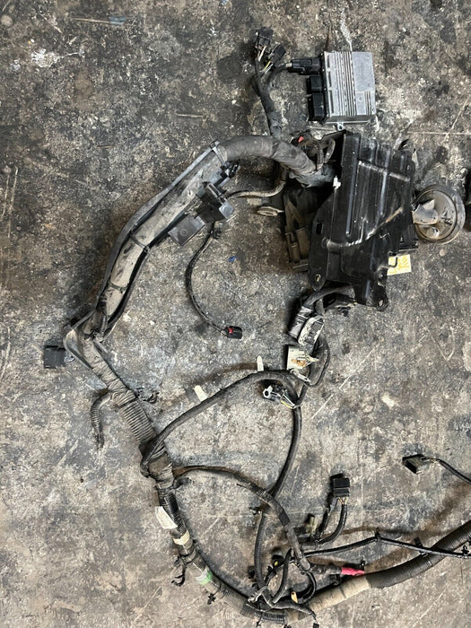 2019 FORD F450 6.7L DIESEL ENGINE BAY WIRING HARNESS OEM KC3T 12A581 ADD