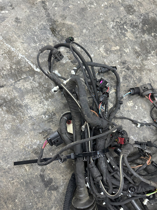 2014 AUDI R8 SPYDER FRONT FRUNK TUB HARNESS HARNESS ~CUT~