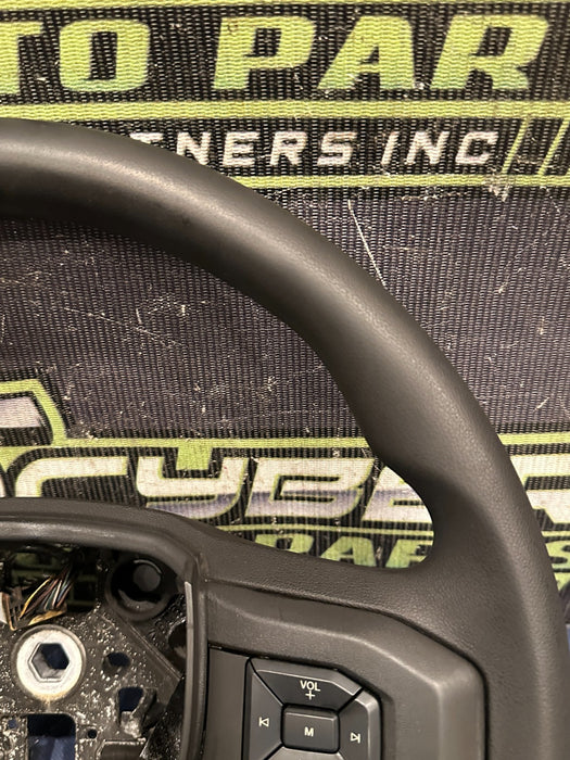 2020 FORD F250 F350 F450 XLT STEERING WHEEL W/ CRUISE CONTROL OEM~MINOR WEARS~