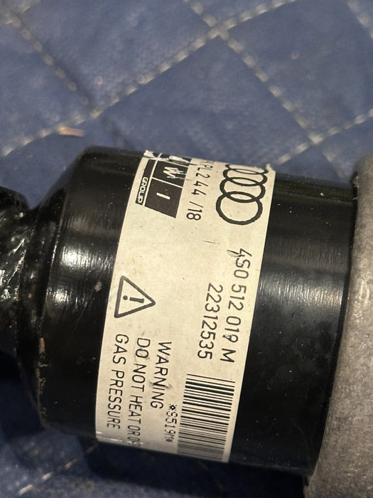 2017 2018 AUDI R8 PLUS REAR RIGHT SUSPENSION SHOCK ABSORBER STRUT 4S0 512 019 M