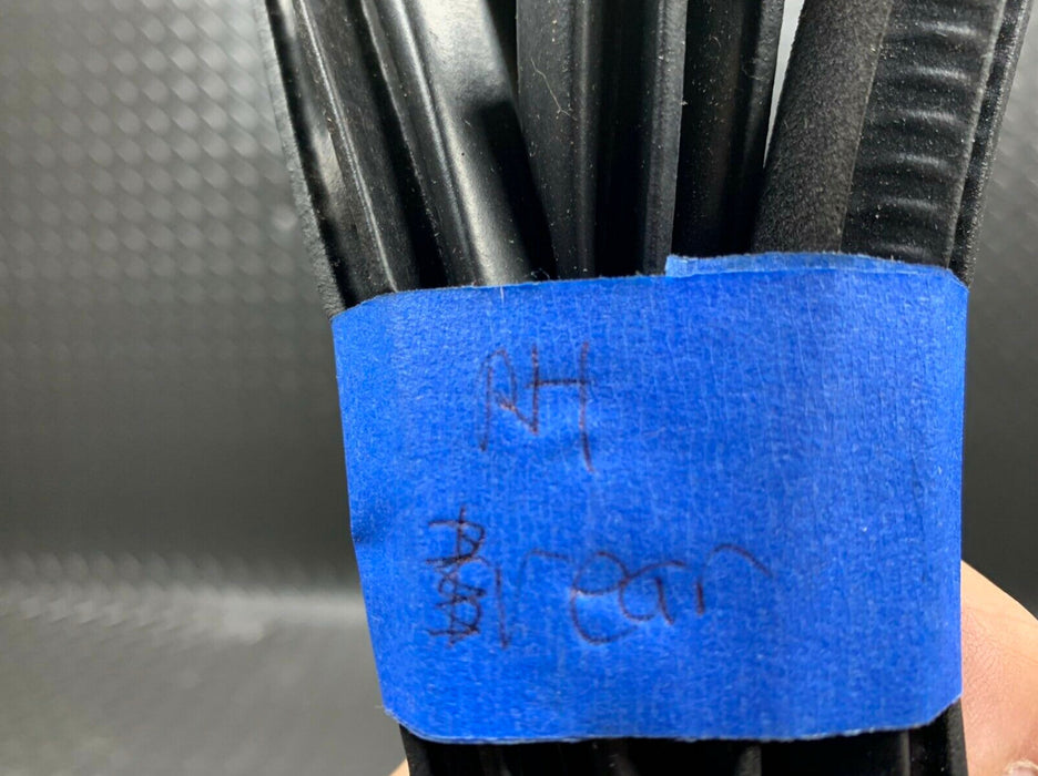 2014-2018 INFINITI Q50 OEM RH REAR DOOR SEAL