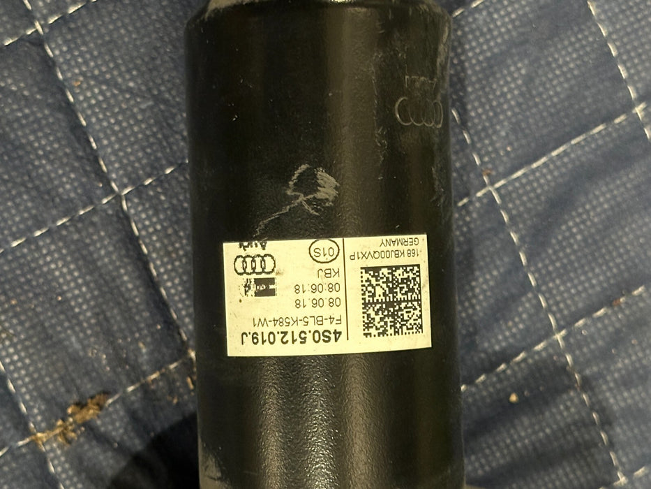 2018 AUDI R8 PLUS REAR LEFT SHOCK ABSORBER STRUT OEM 4S0 512 019 J ~READ!!!~