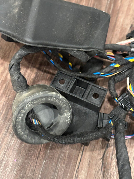 2018 AUDI R8 SPYDER PLUS PASSENGER RIGHT DOOR HARNESS 4S8 971 030 J 25 4S8971030