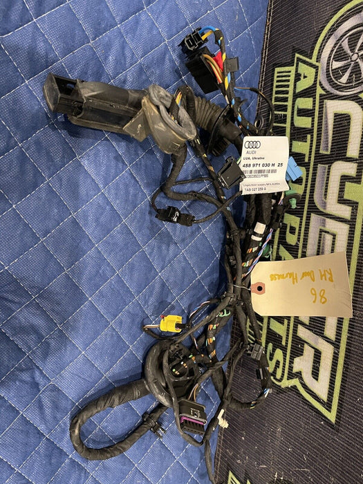 2017-18 AUDI R8 PLUS PASSENGER RIGHT DOOR HARNESS 4S8 971 030 H 25 4S8971030H