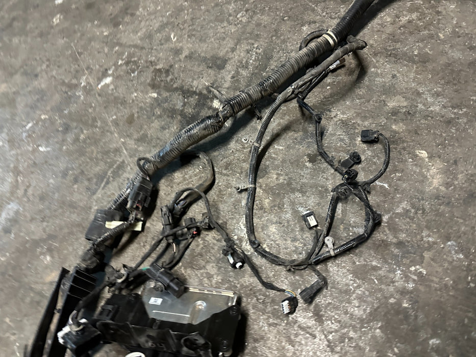 2024 FORD F350 LARIAT DIESEL ENGINE BAY WIRING HARNESS RC3T 12A581 ABA OEM