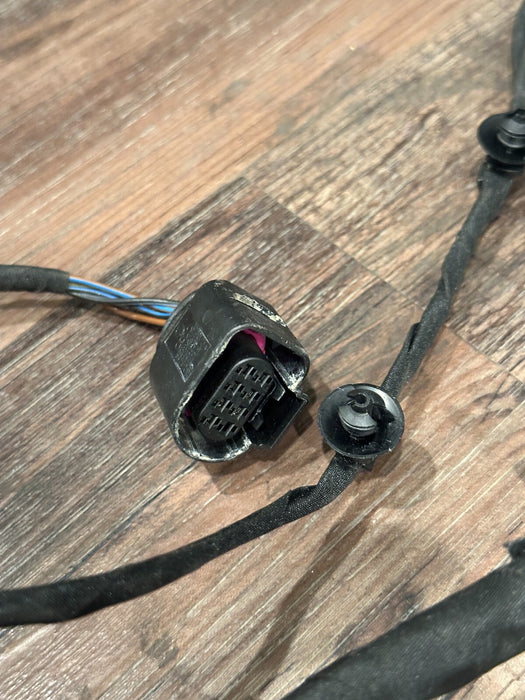 2021 AUDI R8 DRIVER LEFT DOOR WIRING HARNESS OEM 4S8 971 029 C