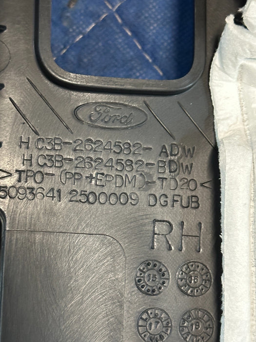 2017-2019 FORD F250 F350 F450 PLATINUM UPPER RIGHT B PILLAR OEM