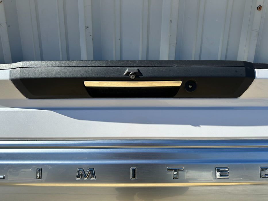2017-2019 FORD F450 LIMITED TAILGATE TAIL GATE ASSEMBLY (UG) OEM *WEARS 5,6,7,9*