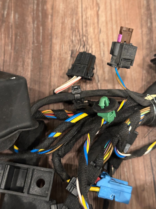 2018 AUDI R8 SPYDER PLUS PASSENGER RIGHT DOOR HARNESS 4S8 971 030 J 25 4S8971030