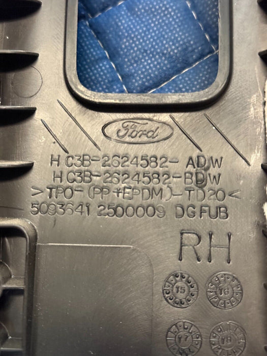 2017-2022 FORD F350 F450 PLATINUM BLACK REAR LEFT RIGHT UPPER B PILLAR SET OEM