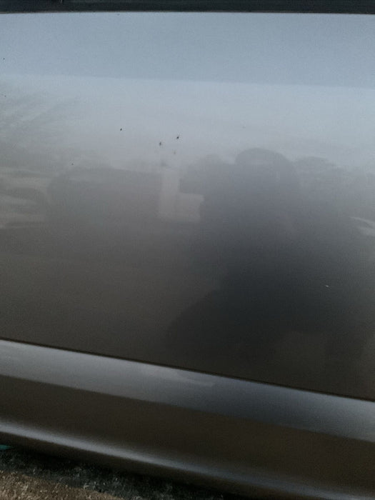 2017-2019 FORD F250 F350 F450 REAR DRIVER LEFT DOOR W/PANEL~MINOR COSMETIC~