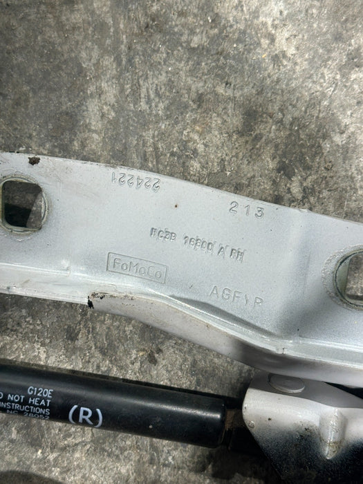 2017-2022 FORD F350 F450 SUPERDUTY LEFT RIGHT HOOD HINGE PAIR OEM