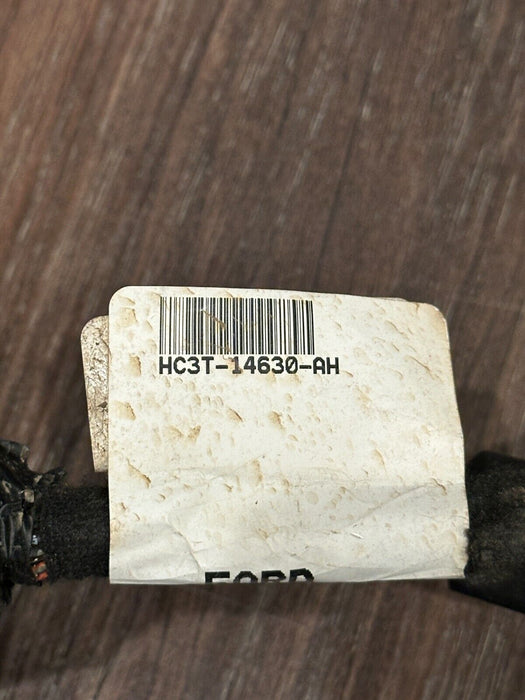 2019 FORD F350 FRONT PASSENGER RIGHT DOOR HARNESS OEM HC3T 14630 AH