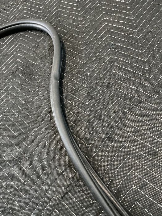 2017 RAM 3500 LARAMIE FRONT LEFT DRIVER DOOR SEAL WEATHER STRIP OEM