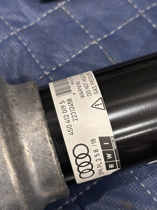 2017 2018 AUDI R8 PLUS FRONT REAR RIGHT LEFT SUSPENSION SHOCK ABSORBER STRUT