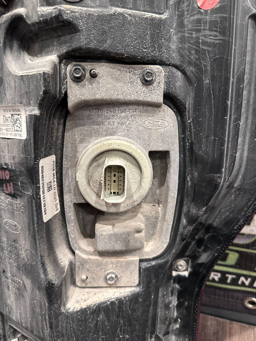 2020-2022 FORD F350 F450 LEFT RIGHT LED TAIL LIGHT PAIR WITH BLISS MODULE OEM